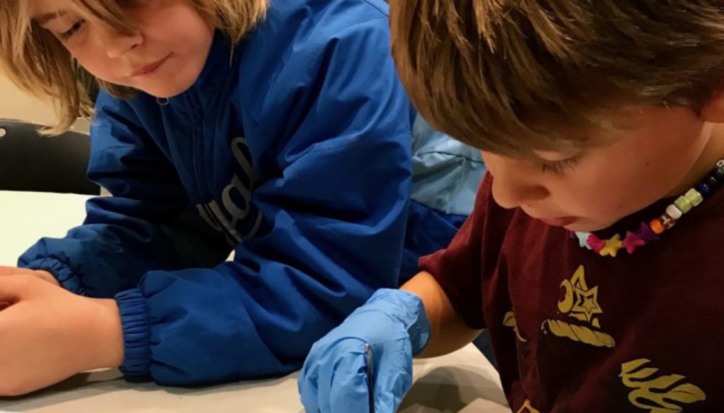 Week 2: Family Night at The Science Center of Iowa