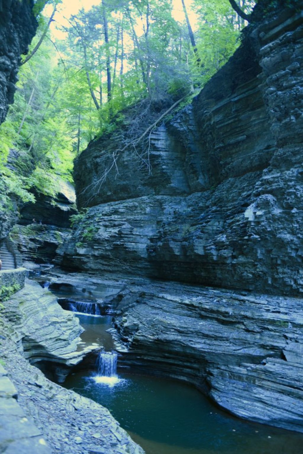 Hiking 19 Waterfalls (how are we not calling this trip Chasing Waterfalls?)